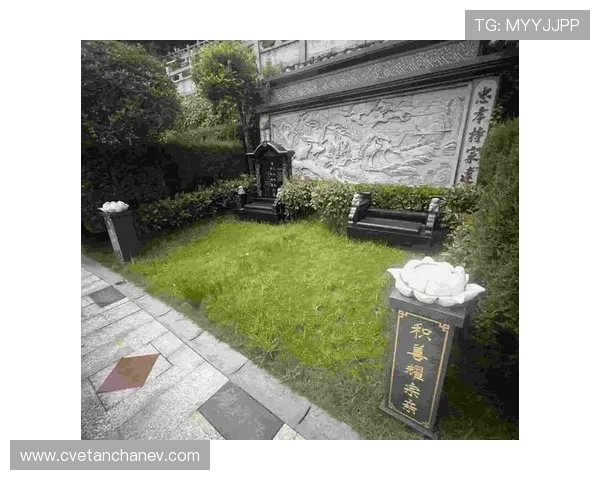 亚星登录流程详解及常见问题解决方案全攻略