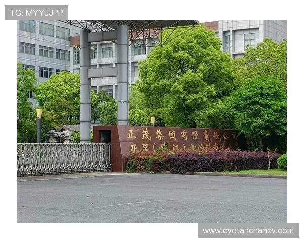 亚星投资的风险控制与合规管理措施深度剖析帮助投资者理解亚星投资的风险应对策略与合规体系保障投资安全与稳健增长的关键因素