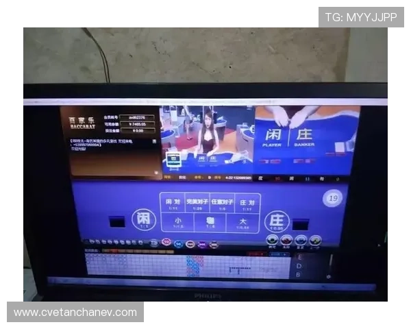 亚星网赌：亚星网赌对玩家财产安全的潜在风险分析