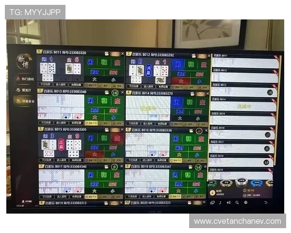 掌握澳门百家乐规则技巧提升游戏体验与盈利能力的实用指南