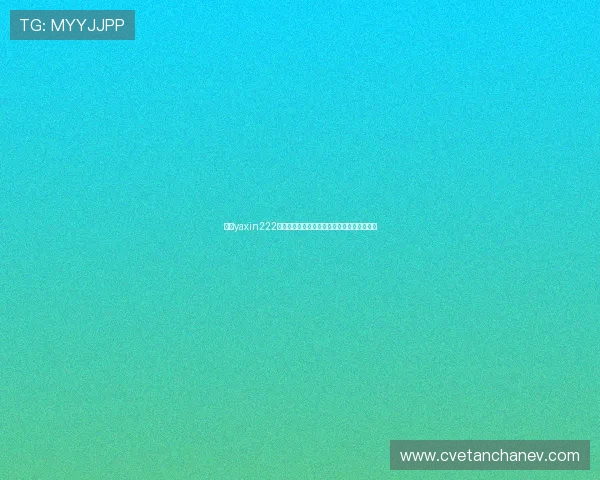 亚星yaxin222官方网站提供的最新产品信息与用户指南详解 亚星yaxin222官方网站提供的最新产品信息与用户指南详解